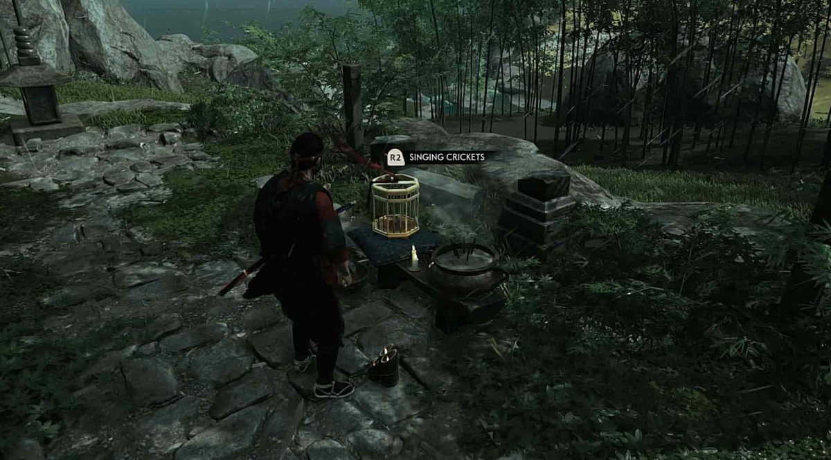 Ghost of Tsushima — где найти Поющих Сверчков