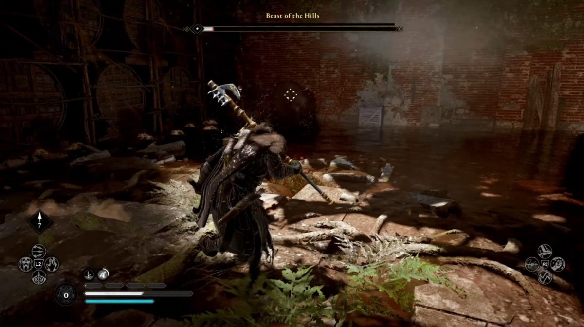 Assassin’s Creed: Valhalla — где найти всех легендарных животных