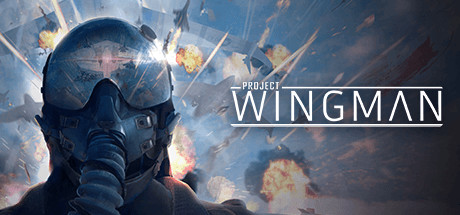 Project Wingman: Таблица для Cheat Engine [1.0.3.20.1201.3199] {ndck76}