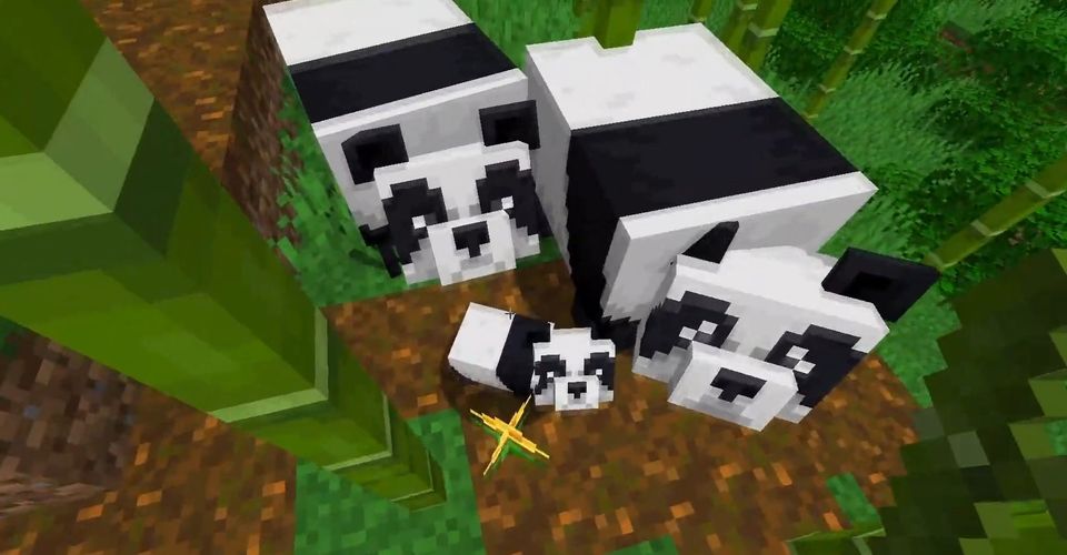 Где найти Панд в Minecraft Где найти Панд в Minecraft