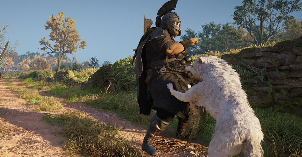 Assassin’s Creed: Valhalla — как заставить волка помочь в бою
