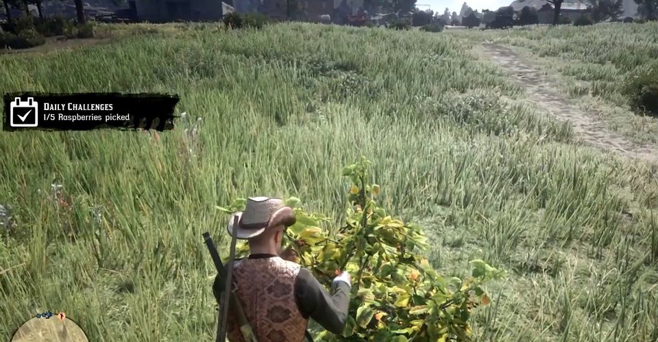 Как найти и выращивать малину в Red Dead Online