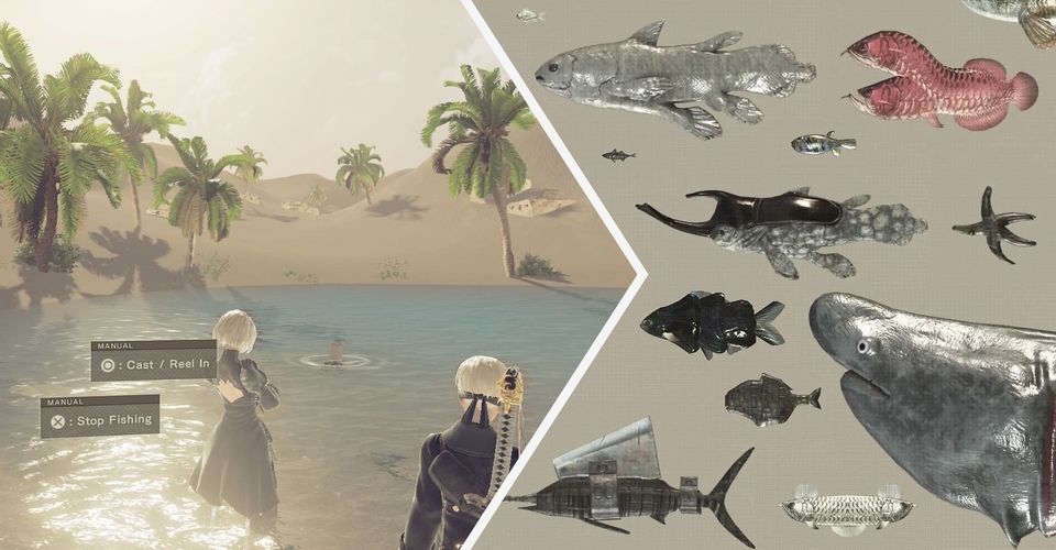 Рыбалка в NieR: Automata: все, что нужно знать