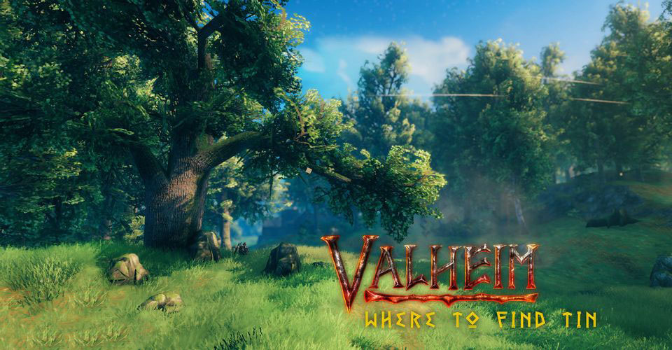 Где найти олово в Valheim Где найти олово в Valheim