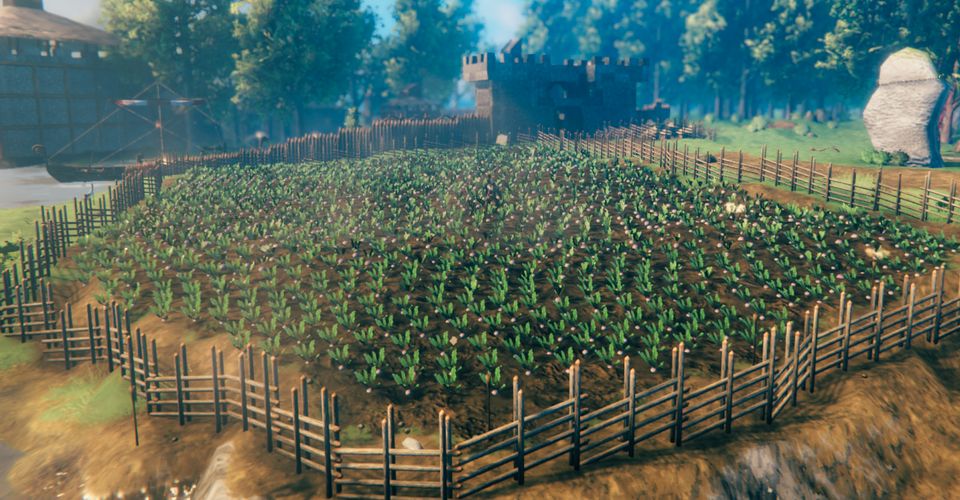 Где найти семена моркови в Valheim