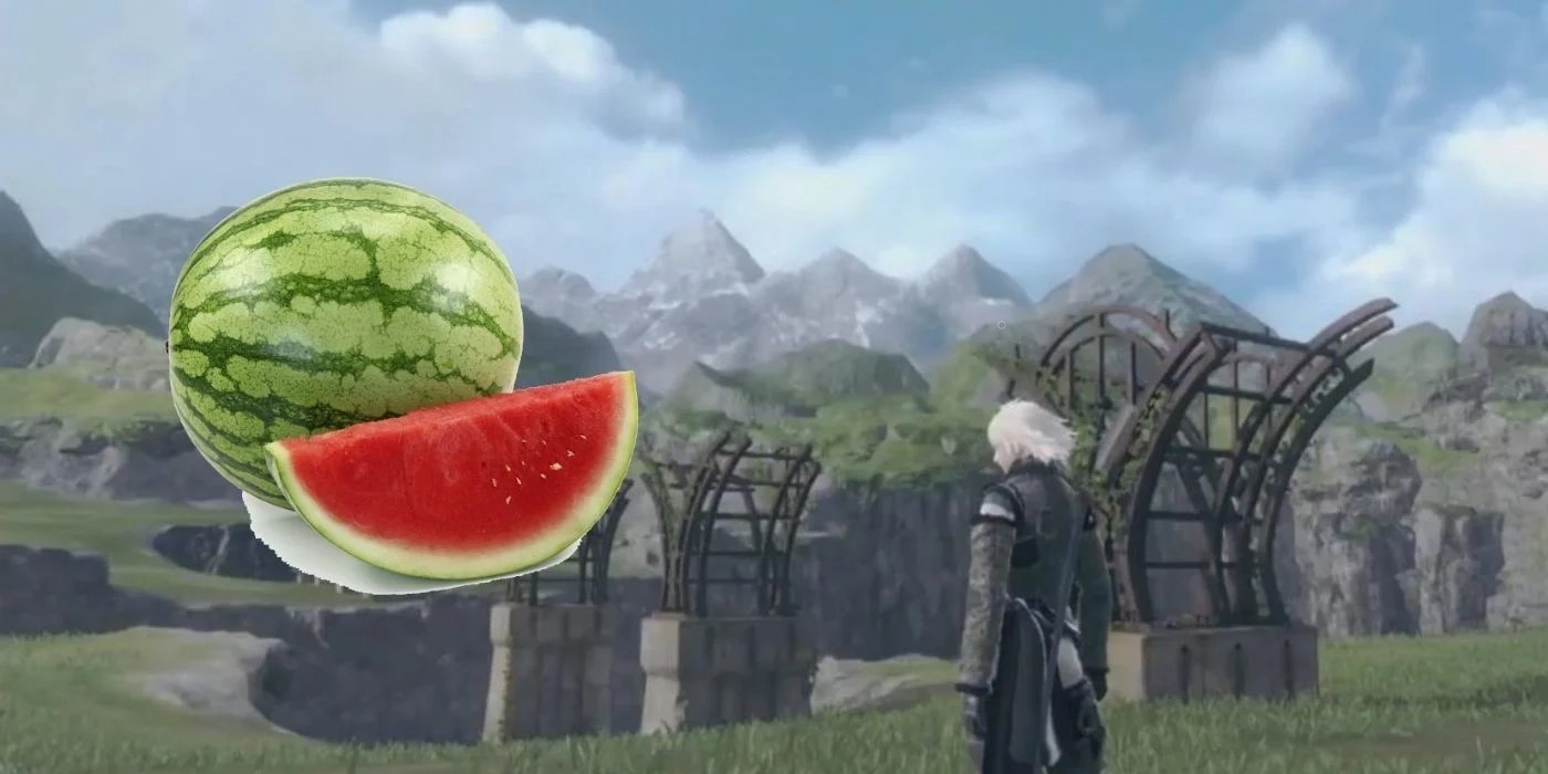Где найти арбуз в NieR Replicant