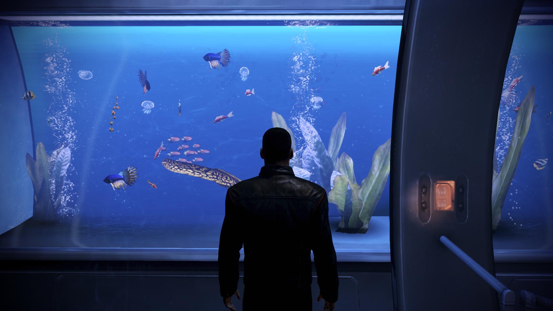 Гайд по аквариуму Шепарда в Mass Effect