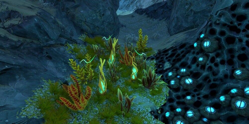 Как найти Ленточник в Subnautica: Below Zero