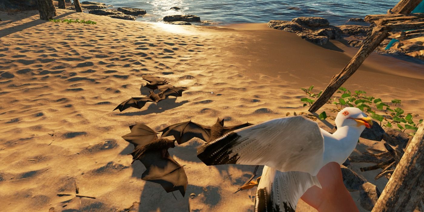 Как поймать чаек и летучих мышей в Stranded Deep