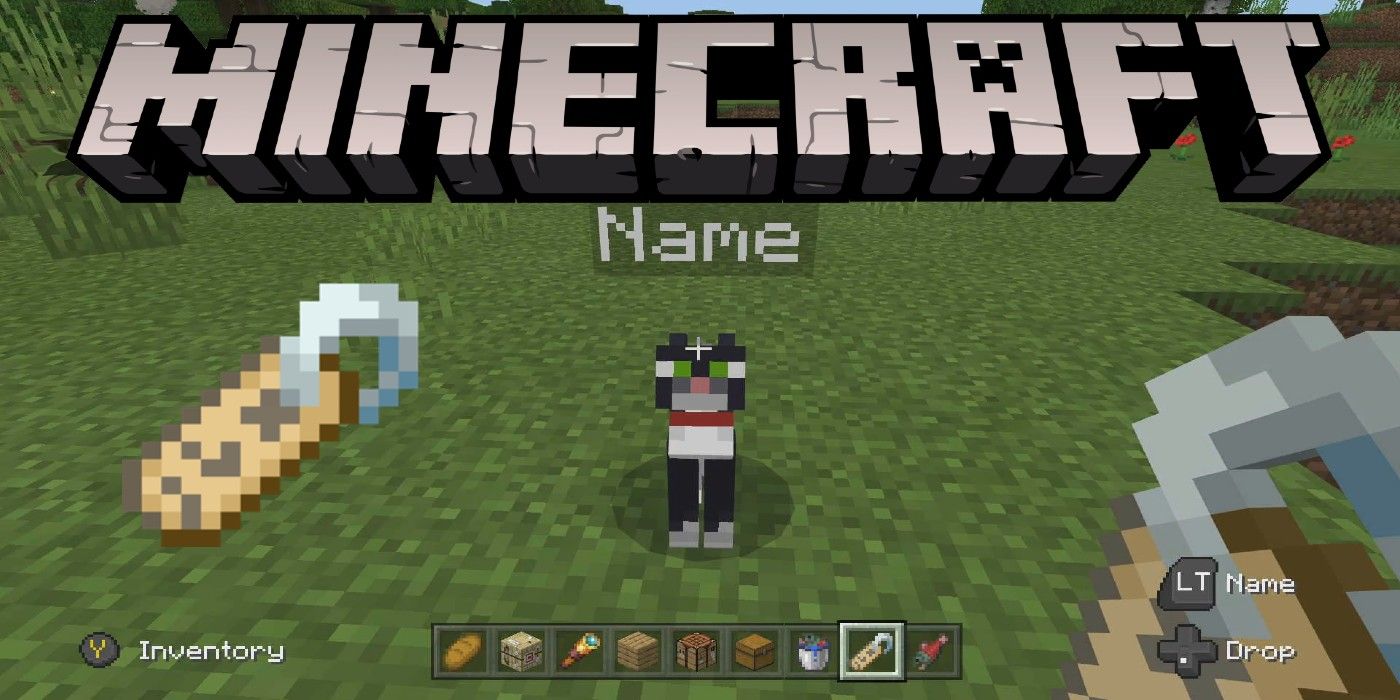 Как получить именную бирку в Minecraft: как назвать моба
