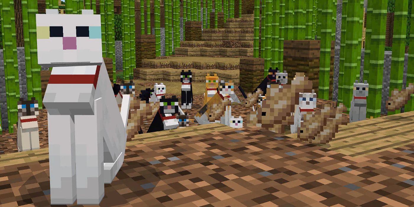 Как приручить кошку в Minecraft
