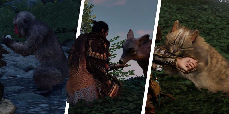Локации всех животных в Ghost of Tsushima: Director’s Cut