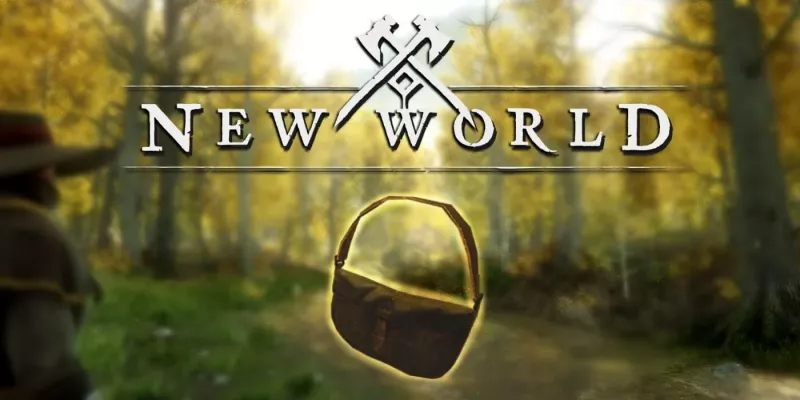 Как увеличить инвентарь в New World