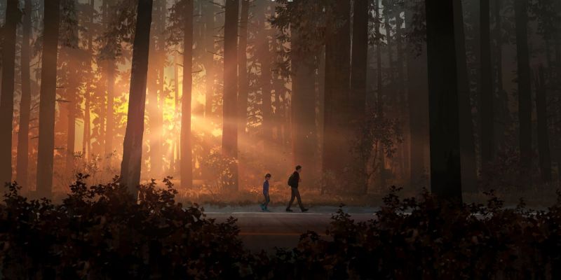 Время прохождения Life is Strange 2: сколько часов геймплея в игре Время прохождения Life is Strange 2: сколько часов геймплея в игре