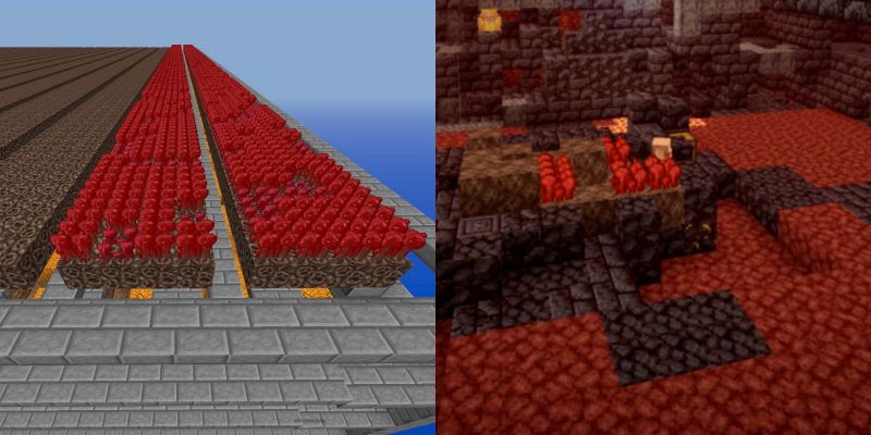 Как найти и выращивать Адский нарост в Minecraft