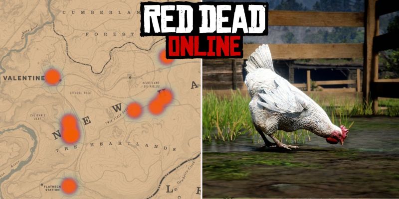 Где искать куриц в Red Dead Online