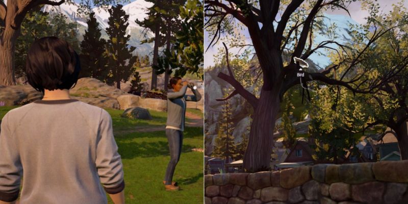 Как помочь орнитологу в Life is Strange: True Colors