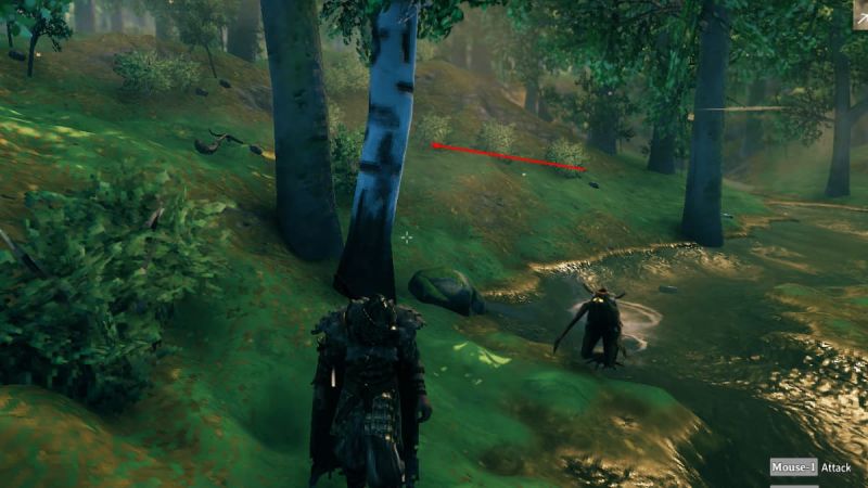 Семена берёзы в Valheim: как получить и выращивать берёзу