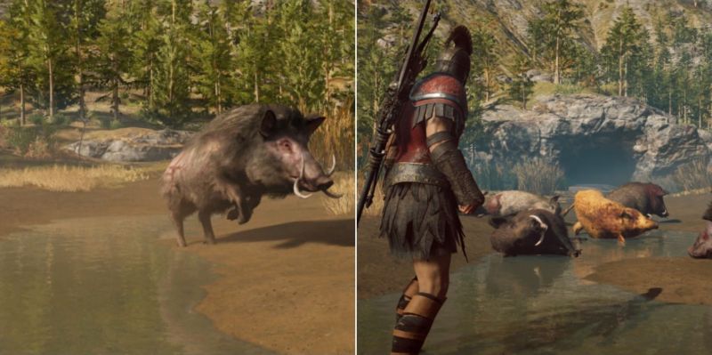 Калидонский вепрь в Assassin’s Creed: Odyssey: где найти и как победить