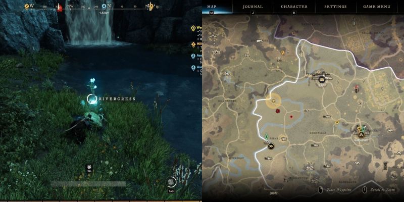 Частицы воды (Water Mote) в New World: где найти