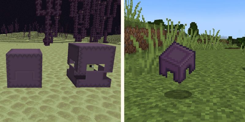 Шалкер в Minecraft: все, что нужно знать о Шалкерах Шалкер в Minecraft: все, что нужно знать о Шалкерах