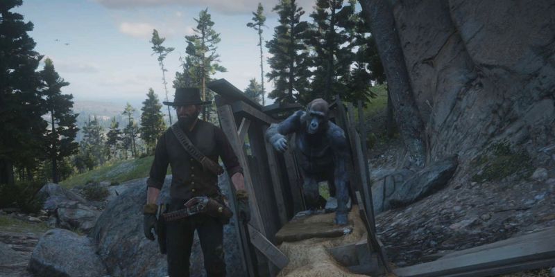 Горилла в коробке в Red Dead Redemption 2: где найти