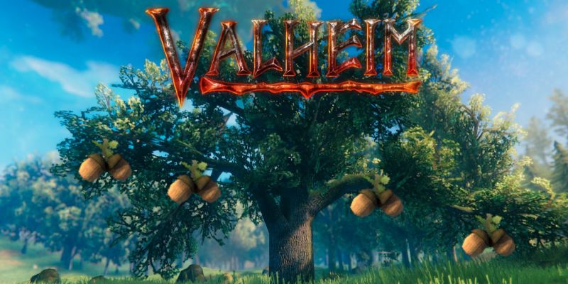 Семена дуба в Valheim: как получить