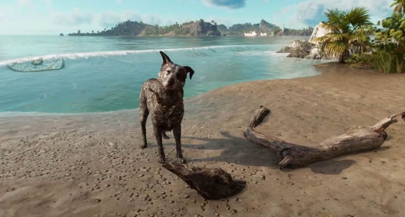 Как разблокировать большую собаку «Бум-бум» в Far Cry 6