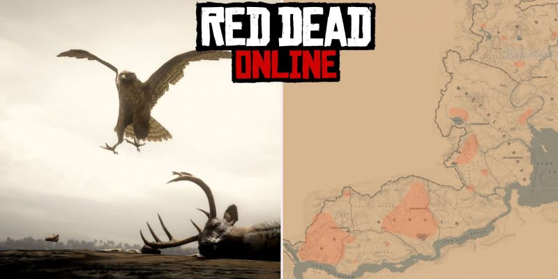 Ястреб в Red Dead Online: где найти