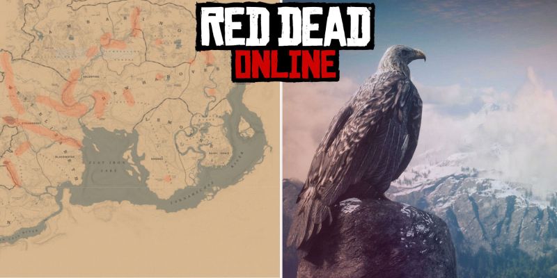 Орел в Red Dead Online: где найти
