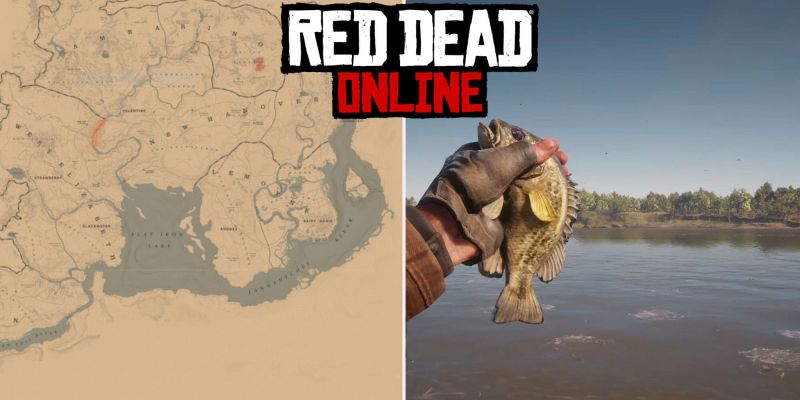 Каменный окунь в Red Dead Online: где ловить