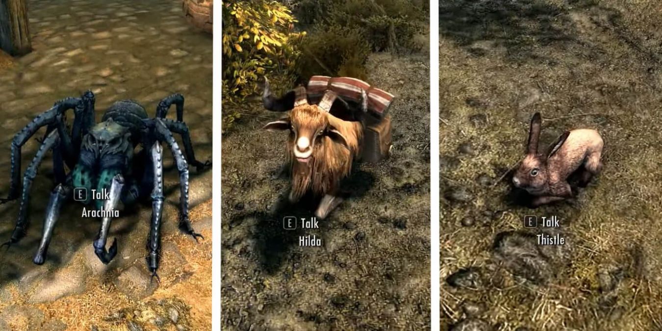 Все питомцы для квеста «Питомцы в Скайриме» в Skyrim: где найти Все питомцы для квеста «Питомцы в Скайриме» в Skyrim: где найти
