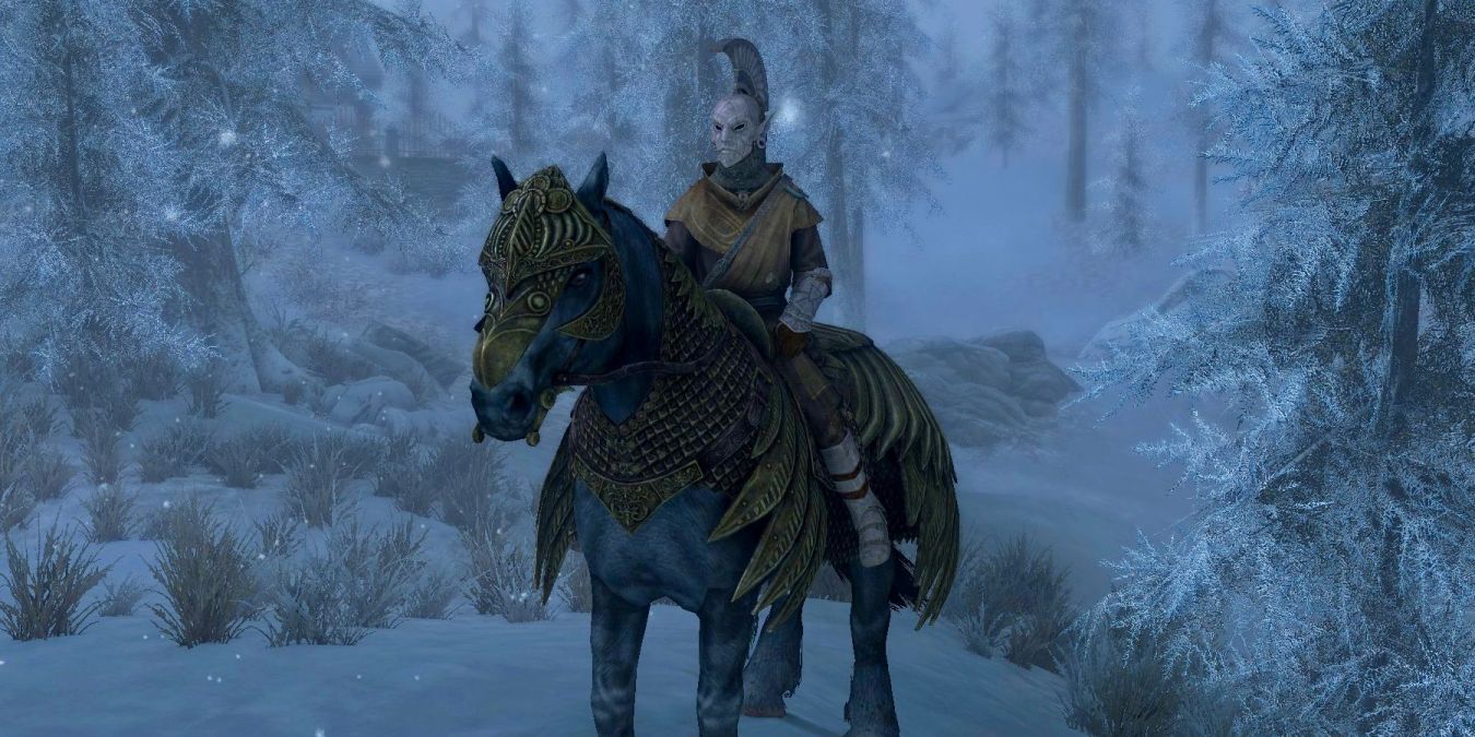 Как переименовать лошадь в Skyrim и получить броню для лошадей