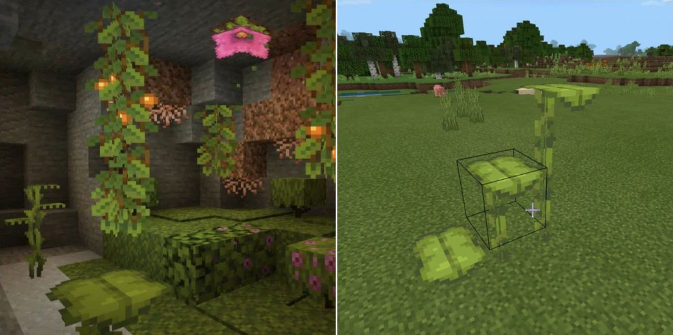 Как получить твердолист в Minecraft и что он делает