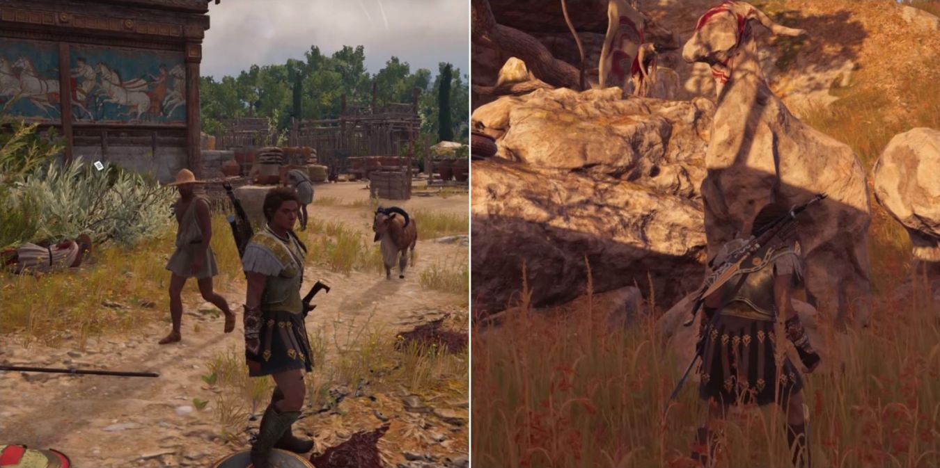 Как решить загадку «Козлиная грубость» в Assassin’s Creed: Odyssey