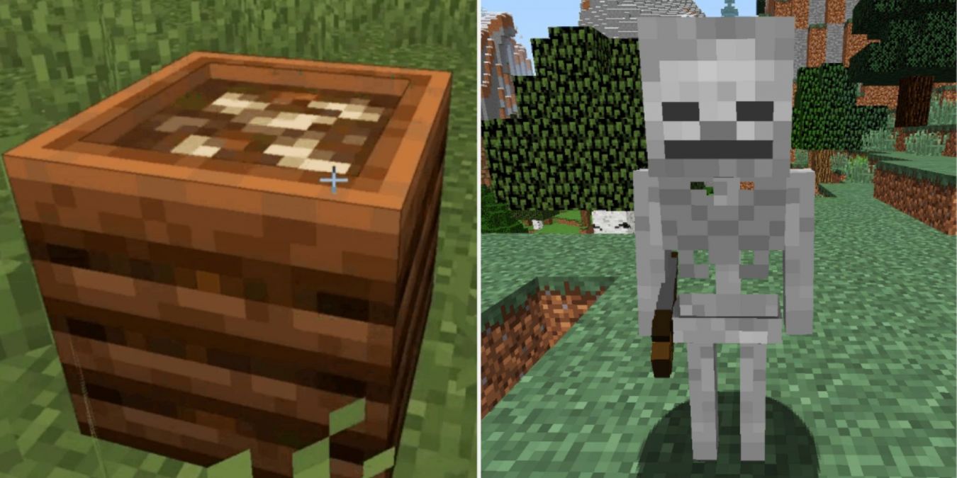 Костная мука в Minecraft: как получить и для чего она нужна