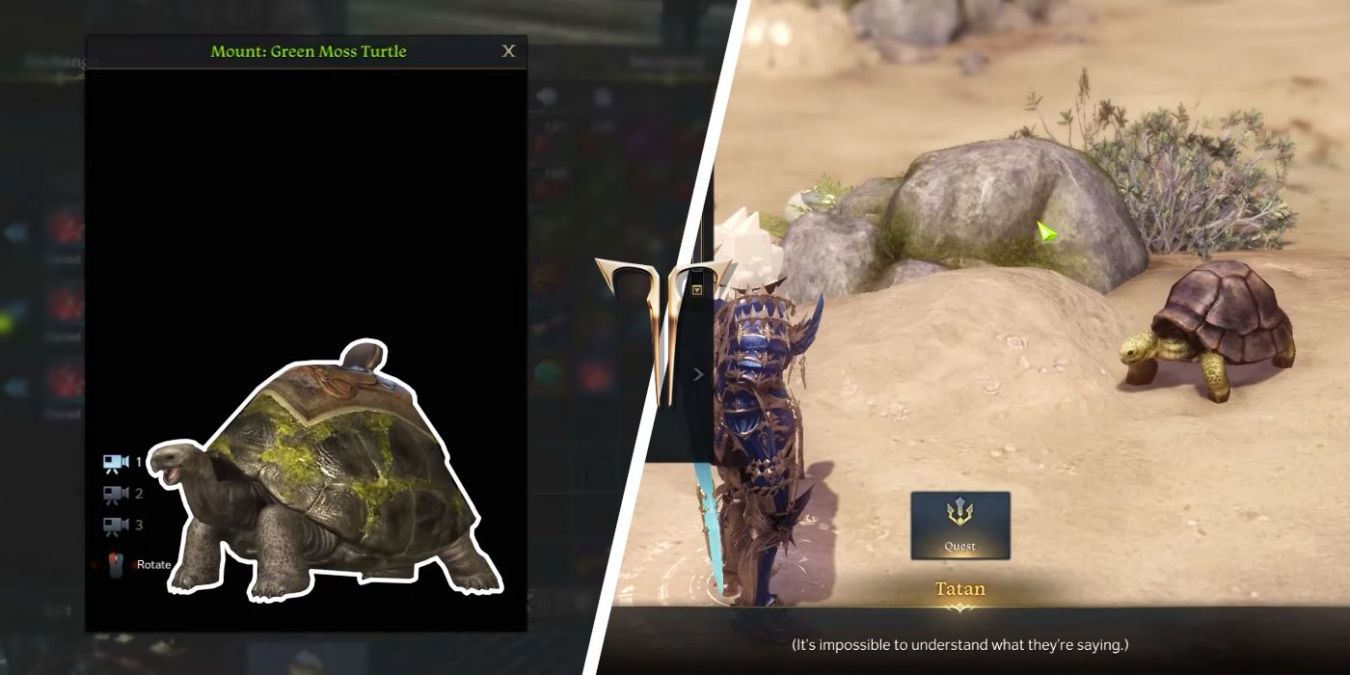 Как разблокировать черепашью гору в Lost Ark