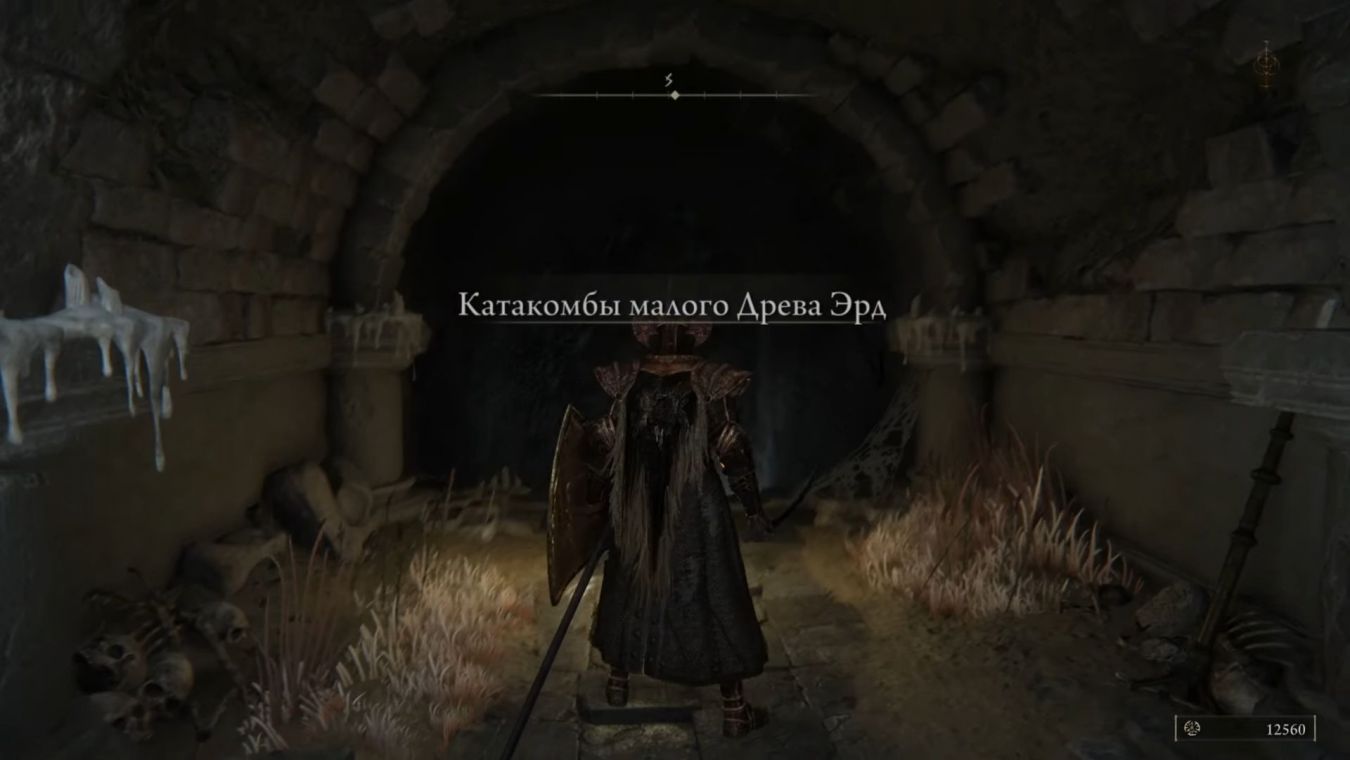 Катакомбы малого Древа Эрд в Elden Ring: прохождение