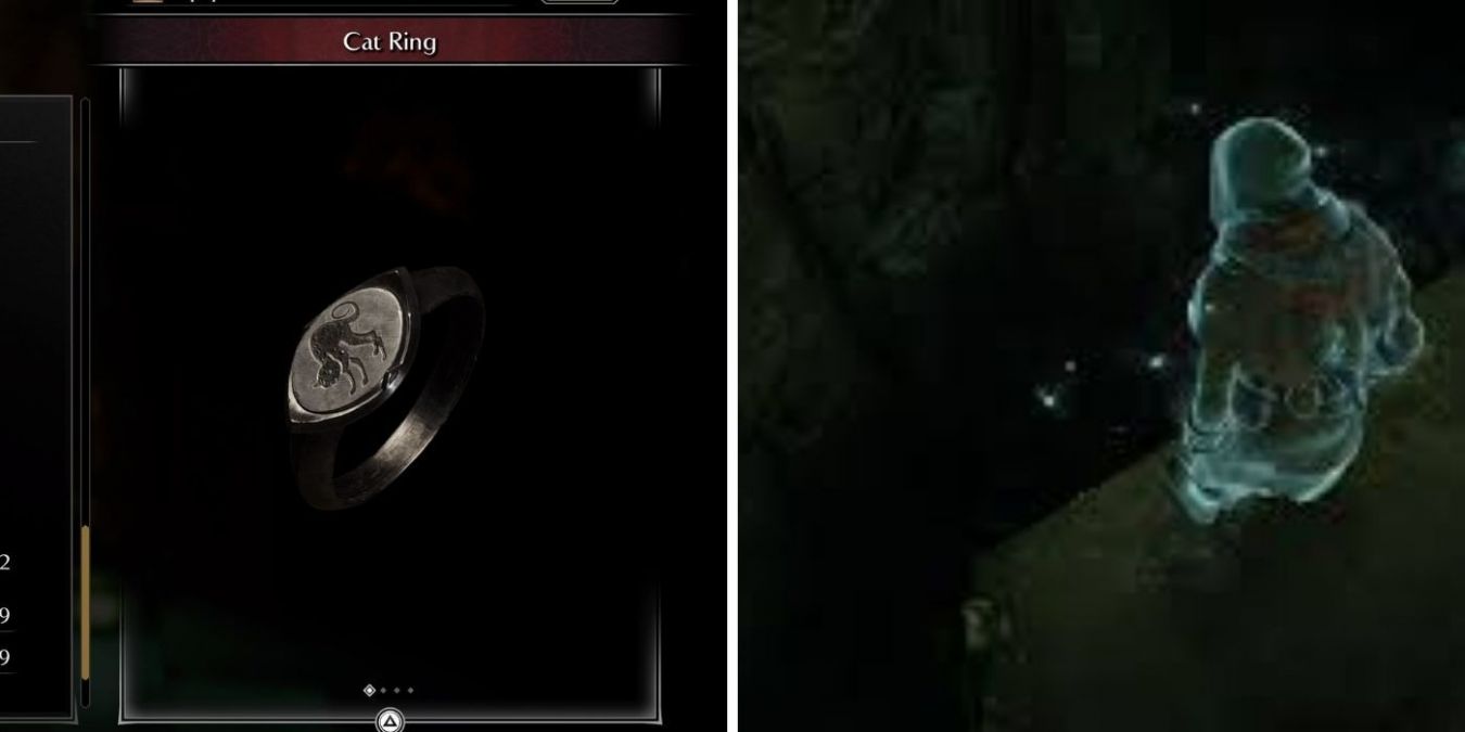 Кольцо кошки в Demon’s Souls: как пользоваться багом
