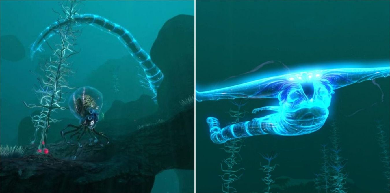Зона кровавых водорослей в Subnautica: как выжить в биоме