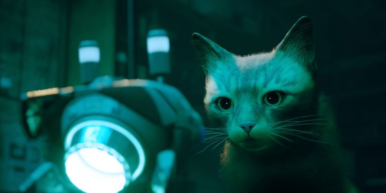 Гайд для новичков по Stray: советы, приёмы и стратегии