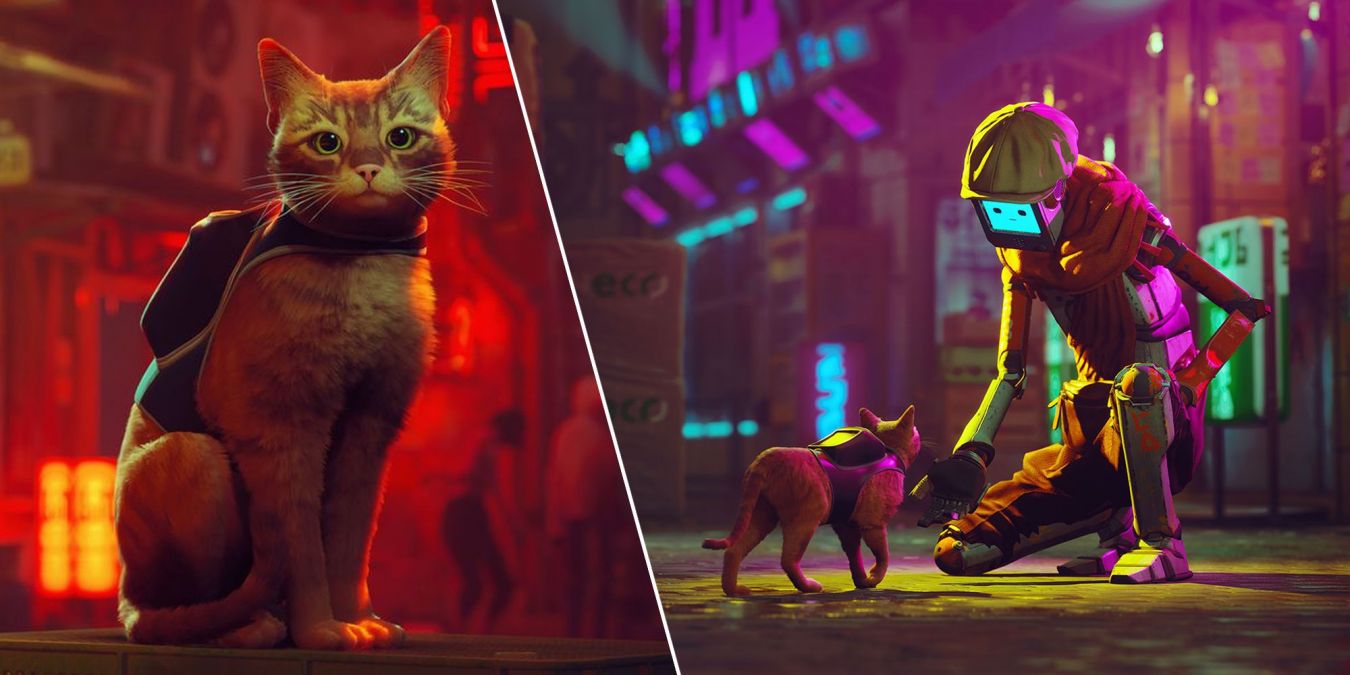 Все значки в Stray: где найти и для чего нужны