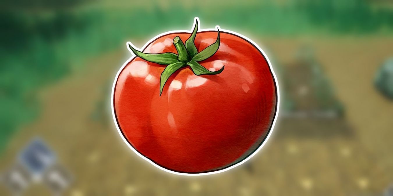 Лучшие летние культуры в Harvestella