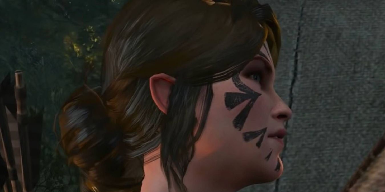 Лесное чудовище в The Witcher 3: Wild Hunt: как начать и пройти