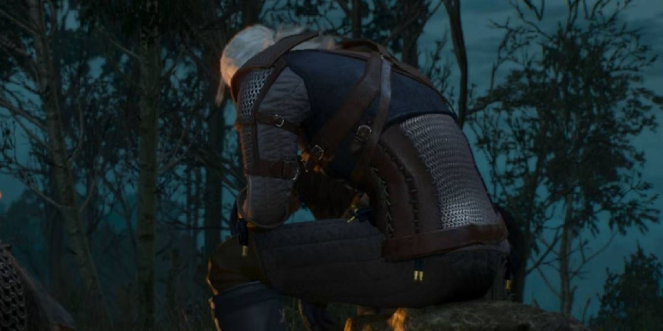 Сирень и крыжовник в The Witcher 3: Wild Hunt: как начать и пройти
