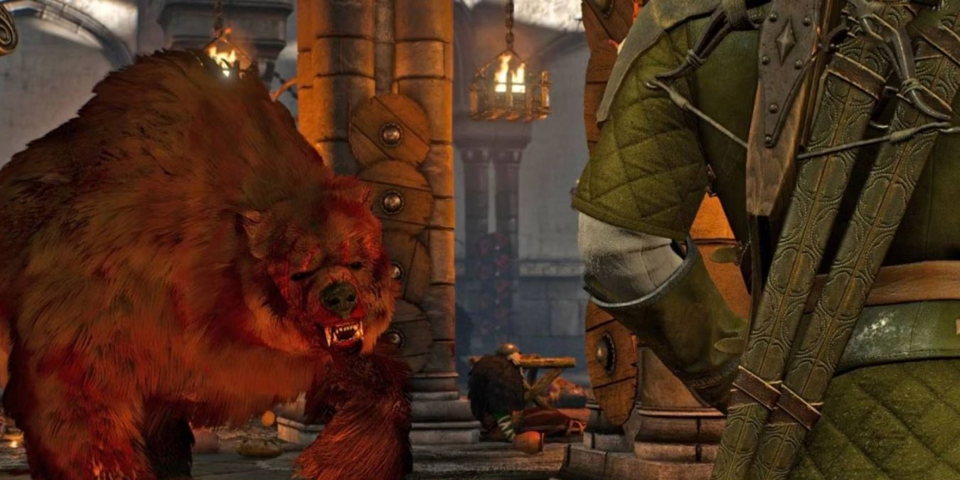 Королевский гамбит в The Witcher 3: Wild Hunt: как начать и пройти