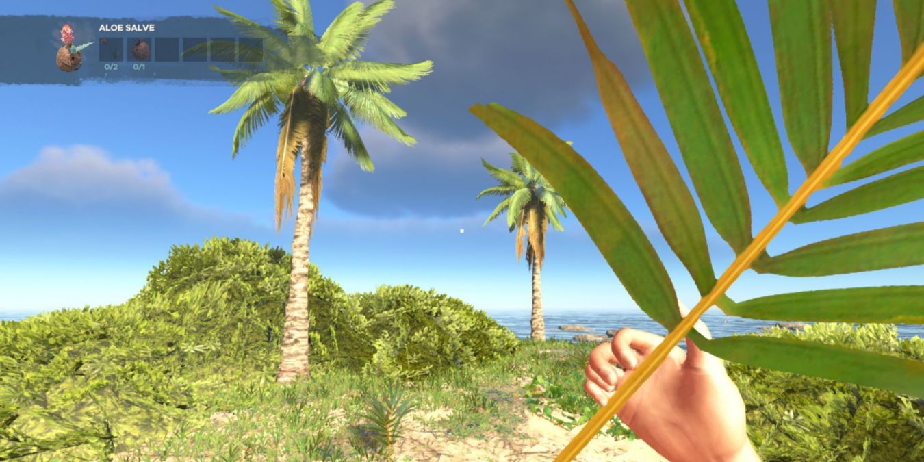 Где взять пальмовые ветви в Stranded Deep