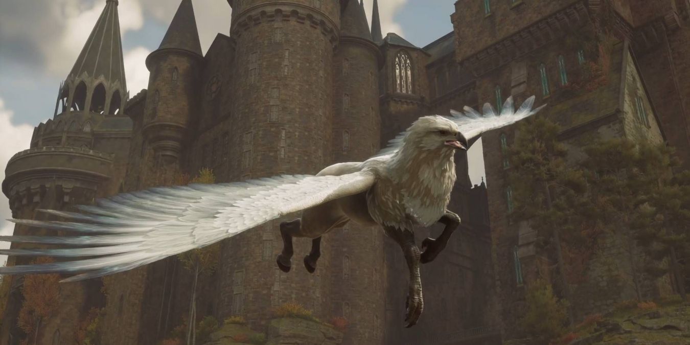 Все летающие животные в Hogwarts Legacy и где их найти