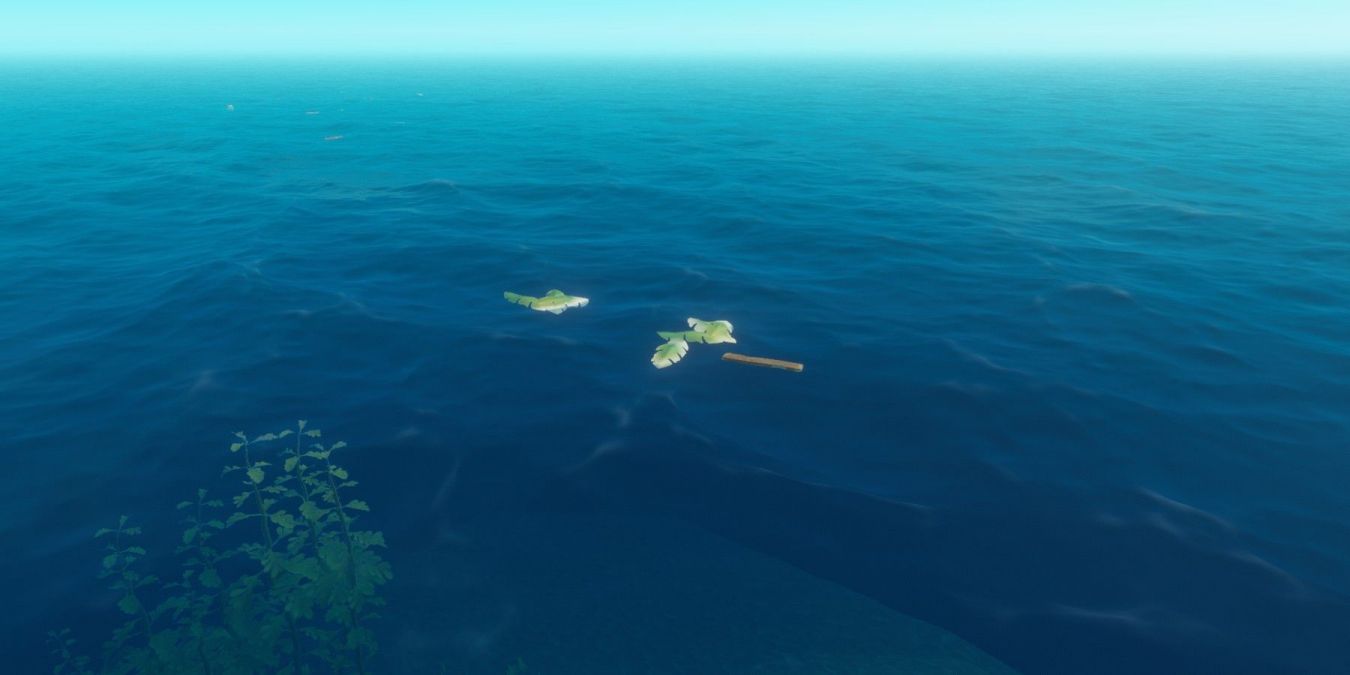 Где найти пальмовые листья и веревку в Raft Где найти пальмовые листья и веревку в Raft