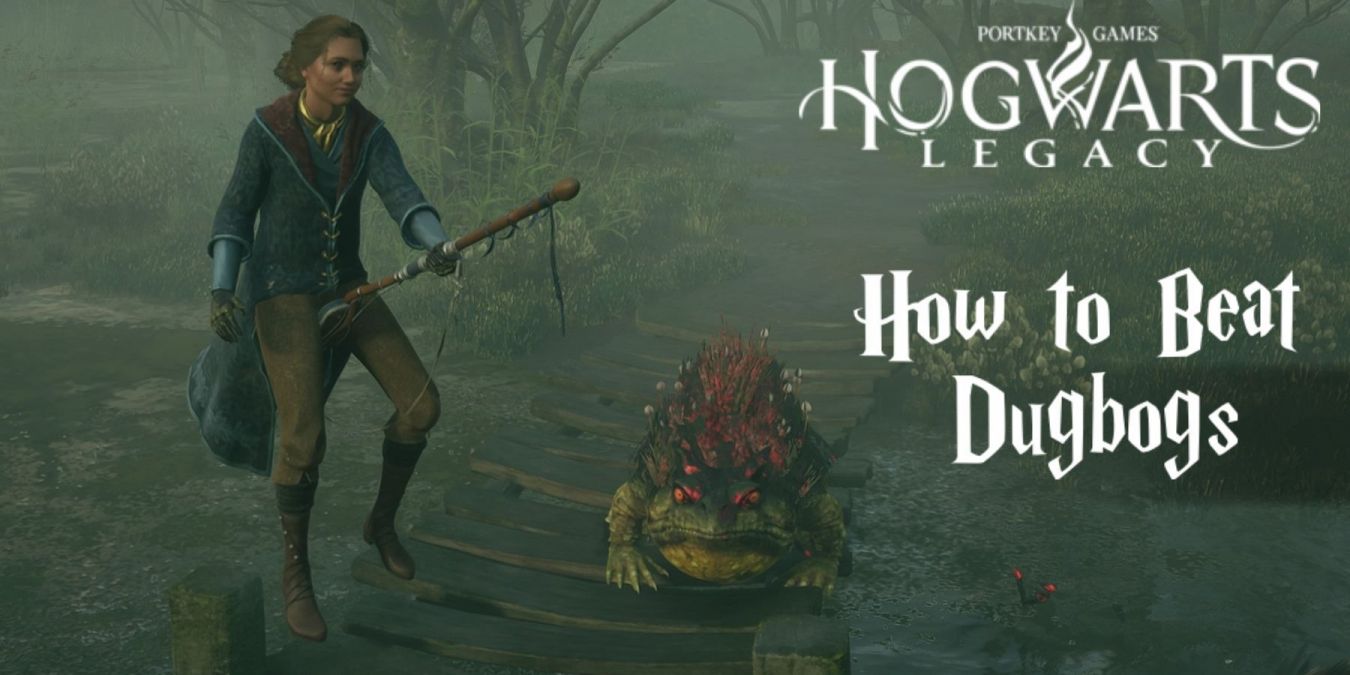 Топеройка (Жрыль) в Hogwarts Legacy: как победить и получить язык